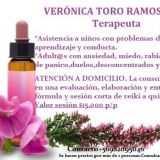 Terapeuta Floral lleva terapia a tu hogar